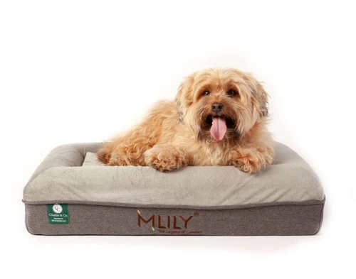 Charlie & Co Ergonomic Memory Foam Pet Bed