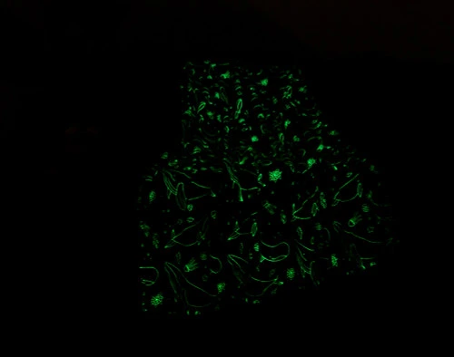 Our Whale Pod Glow in the Dark Fleece Throw sitting with a light green glow in a darkened living room.